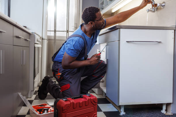 Best Residential Plumbing Services  in Riverdale, IL