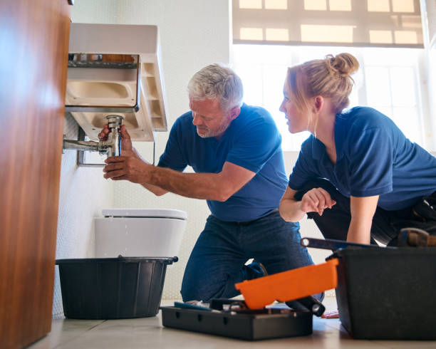 Best Commercial Plumbing Services  in Riverdale, IL